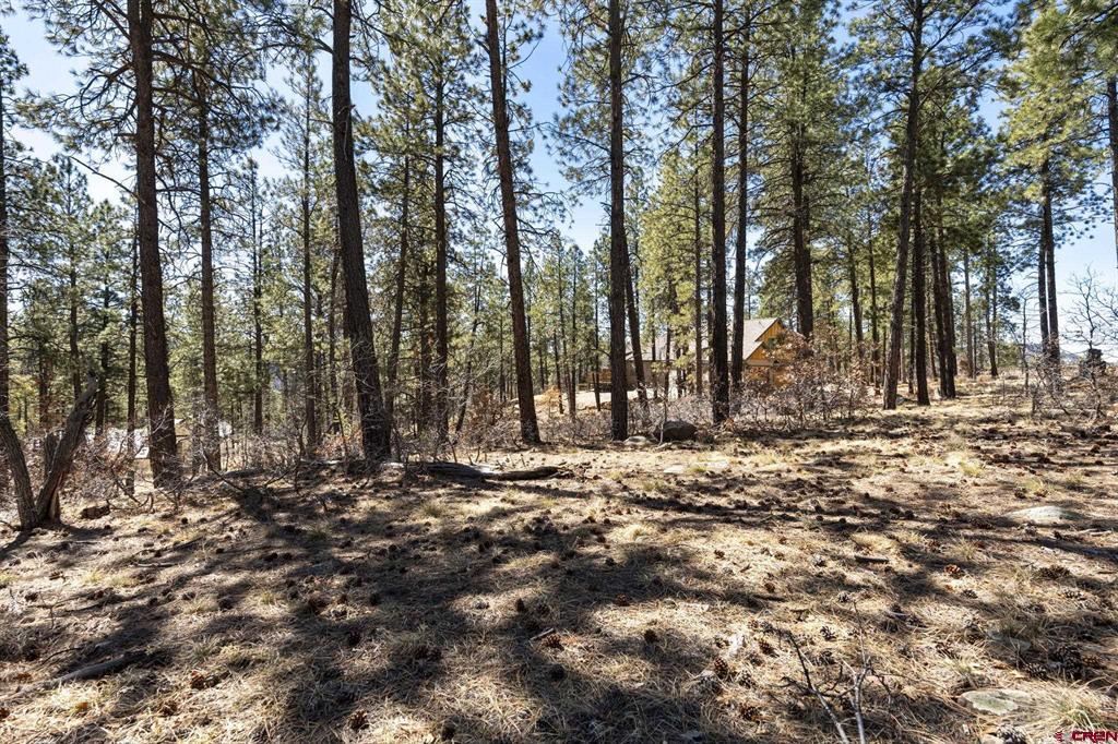 192 Cabin Creek Drive Durango CO 81301