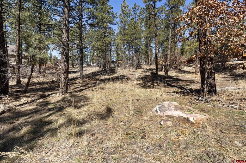 192 Cabin Creek Drive Durango CO 81301
