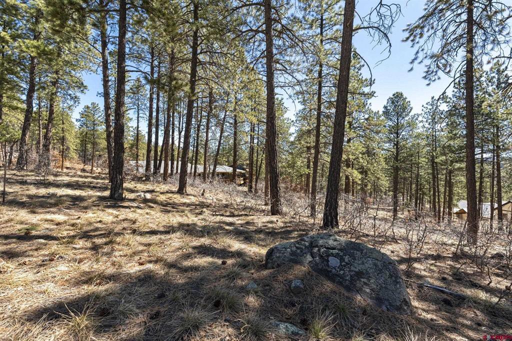 192 Cabin Creek Drive Durango CO 81301