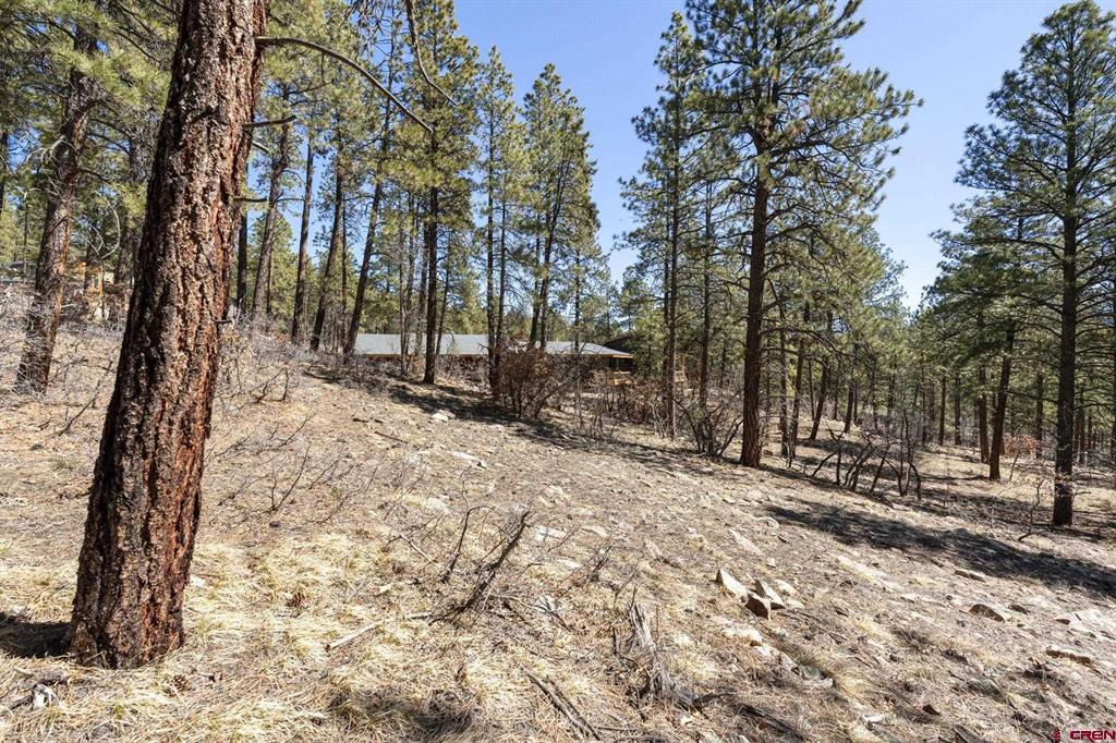 192 Cabin Creek Drive Durango CO 81301