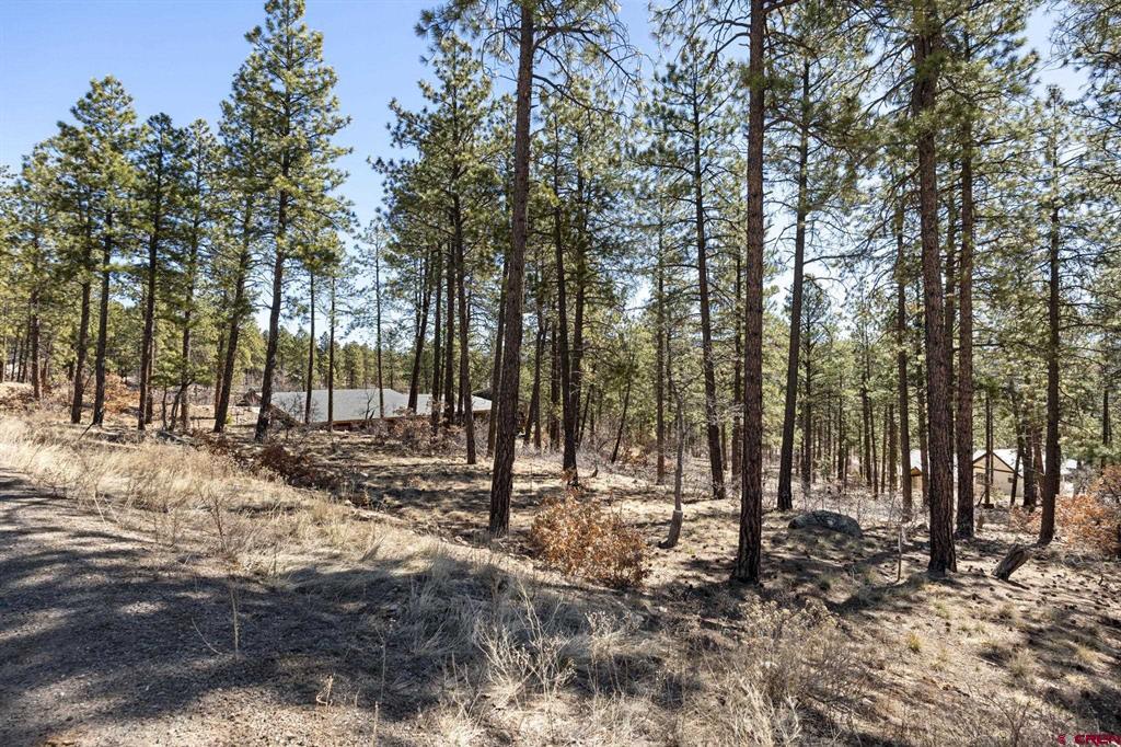 192 Cabin Creek Drive Durango CO 81301