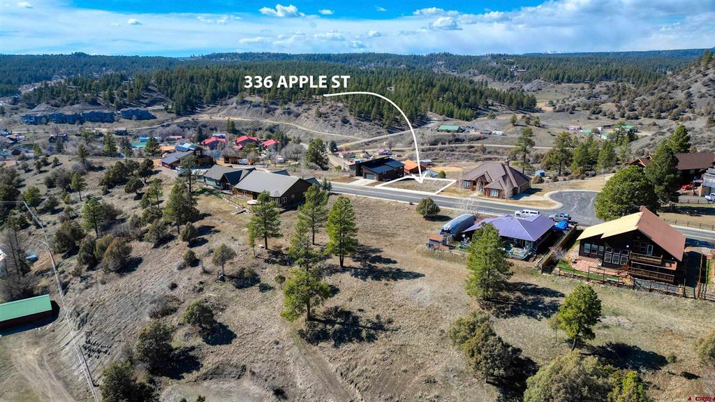 336 Apple Street Pagosa Springs CO 81147