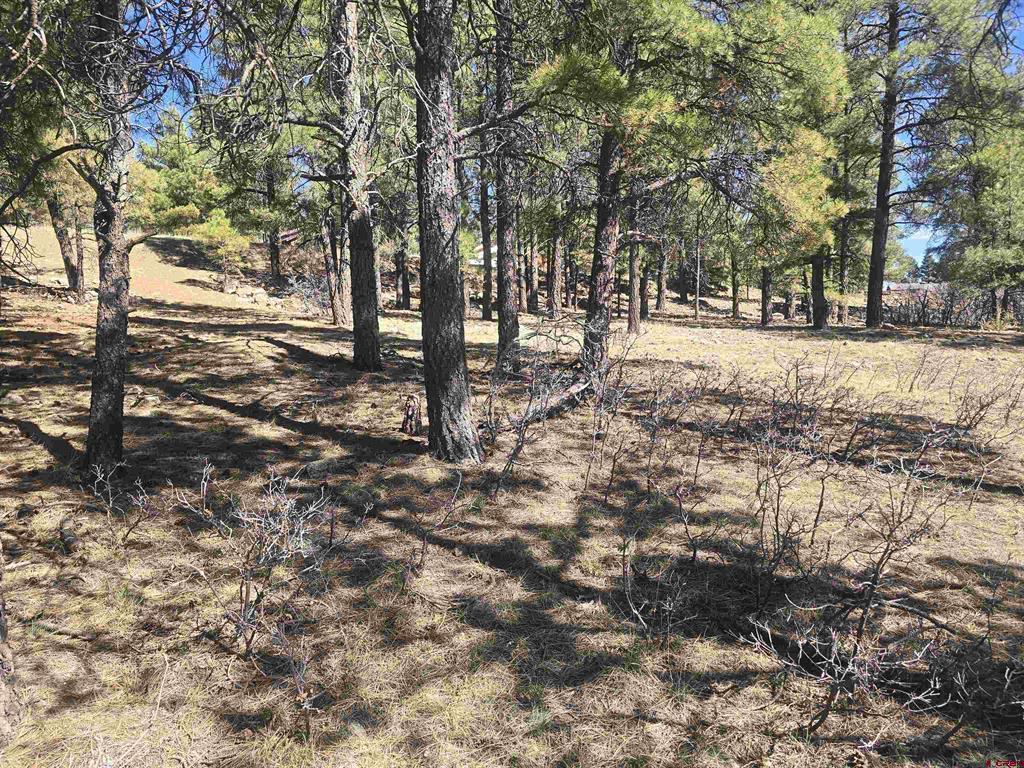 110 Woodridge Circle Pagosa Springs CO 81147