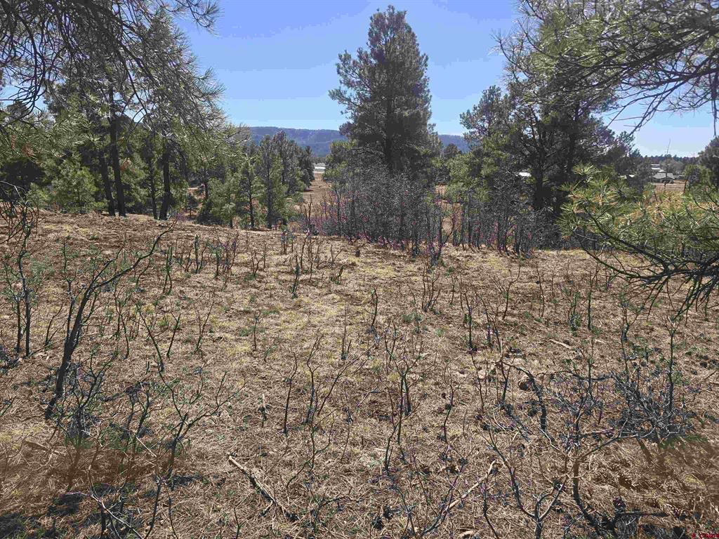 110 Woodridge Circle Pagosa Springs CO 81147