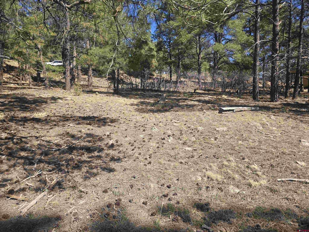 110 Woodridge Circle Pagosa Springs CO 81147