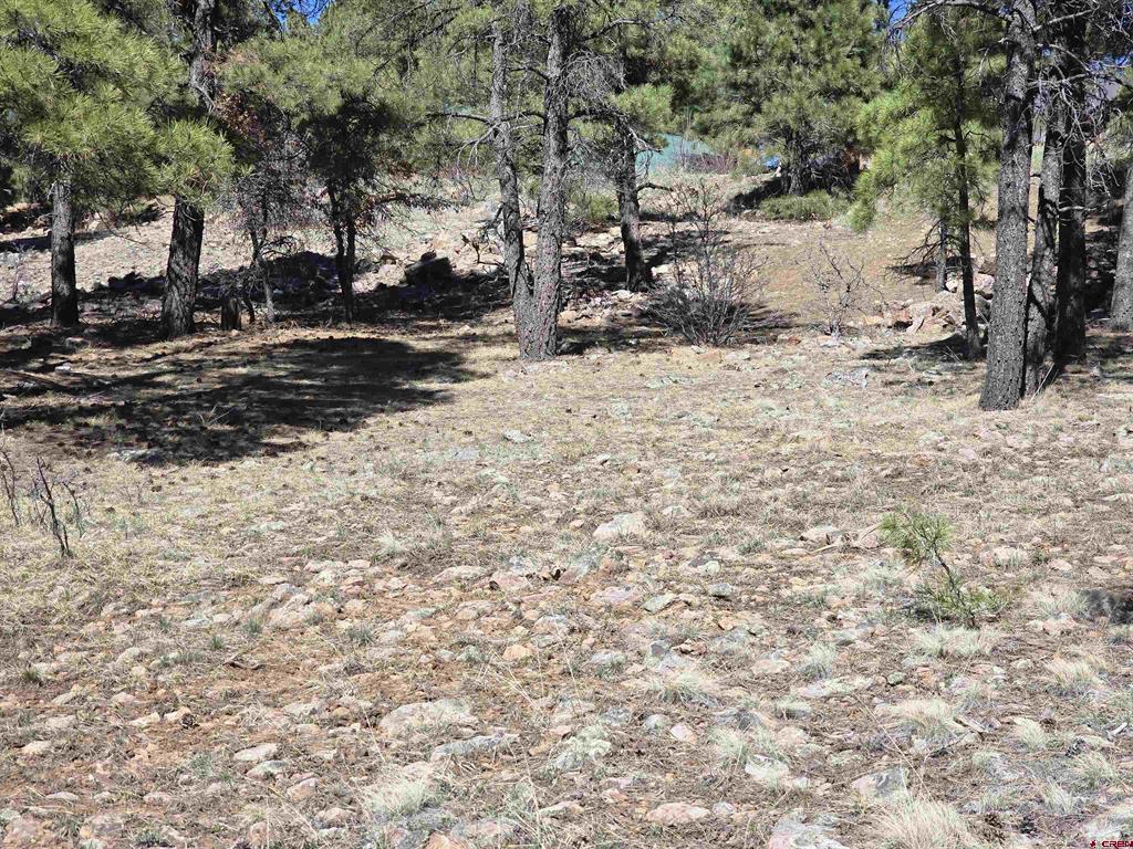 110 Woodridge Circle Pagosa Springs CO 81147