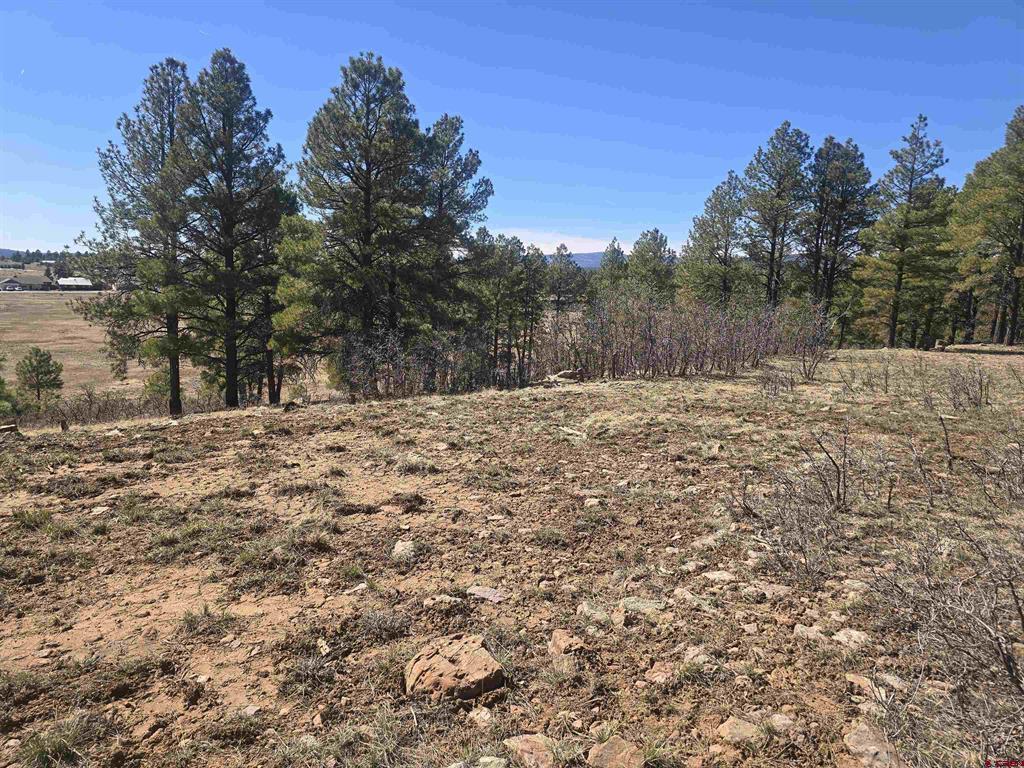 110 Woodridge Circle Pagosa Springs CO 81147