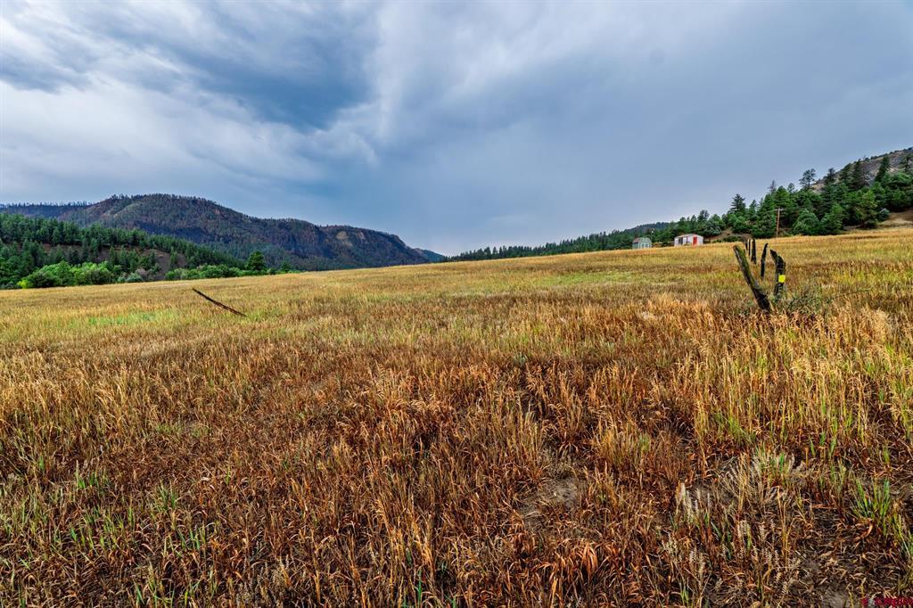 1822B County Road 335 Pagosa Springs CO 81147