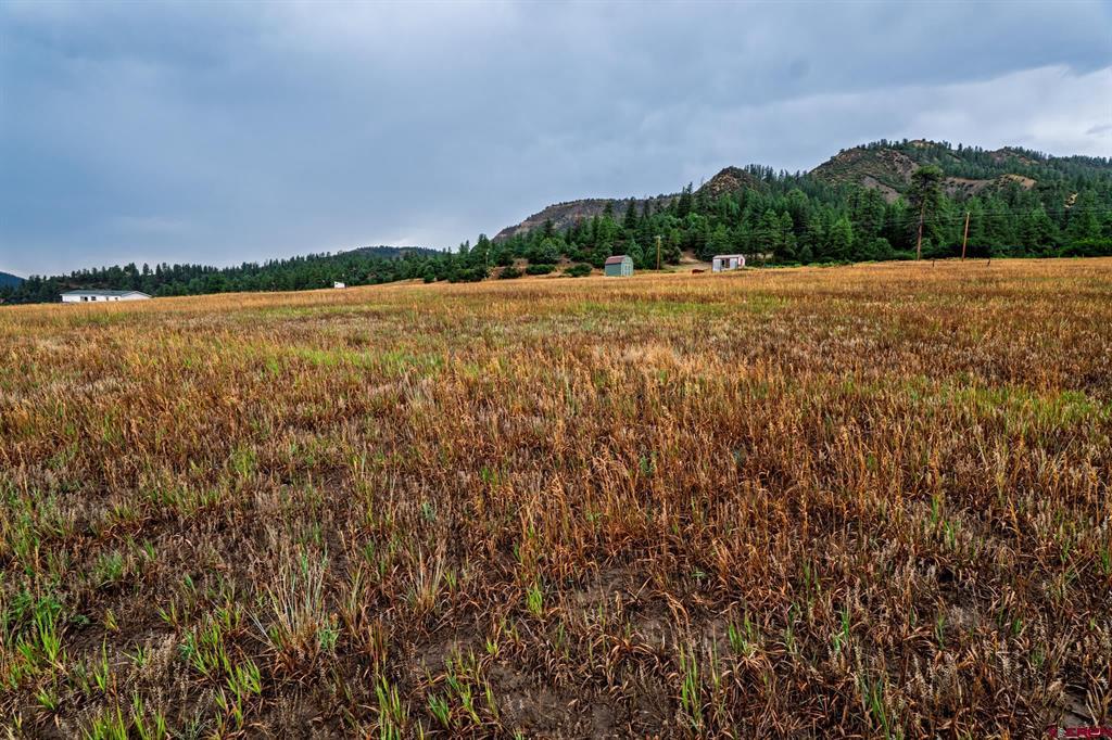 1822B County Road 335 Pagosa Springs CO 81147
