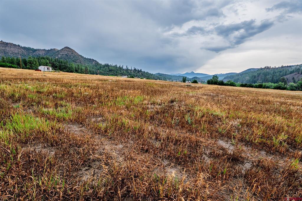 1822B County Road 335 Pagosa Springs CO 81147