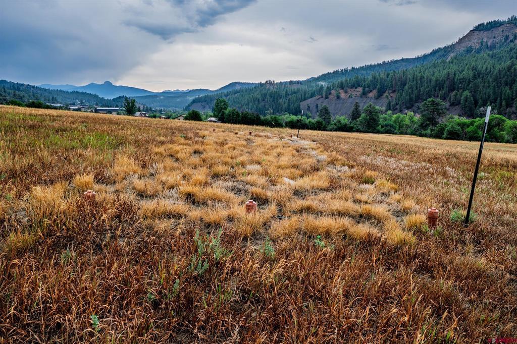 1822B County Road 335 Pagosa Springs CO 81147