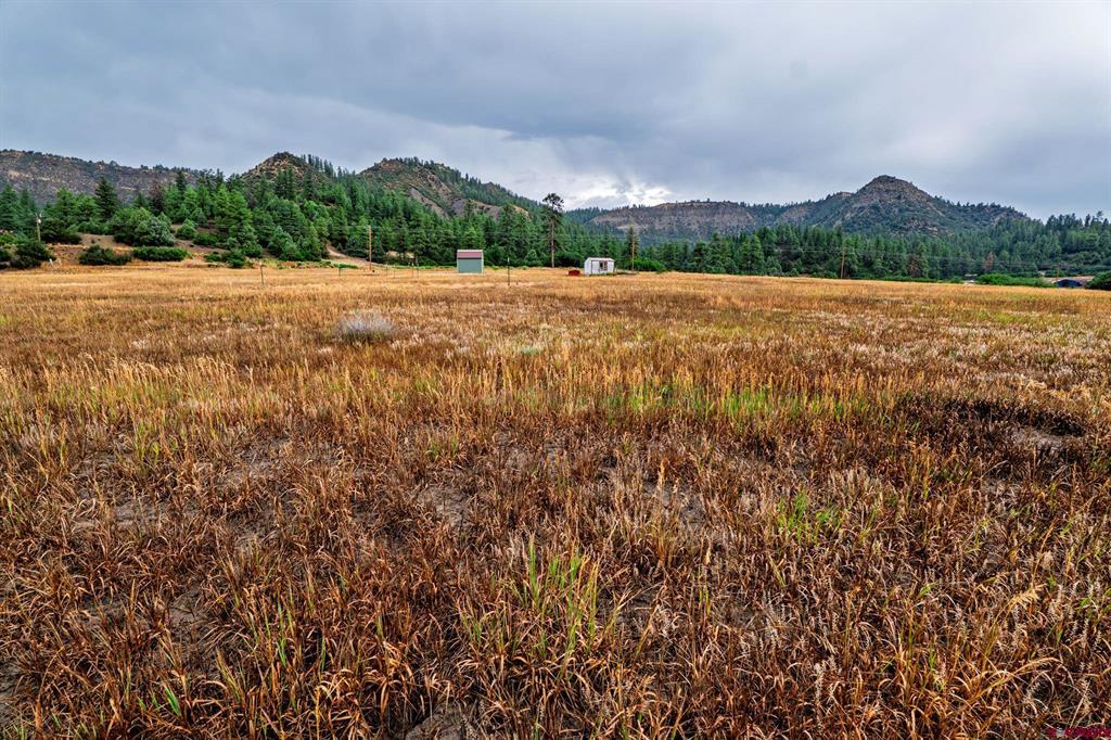 1822B County Road 335 Pagosa Springs CO 81147