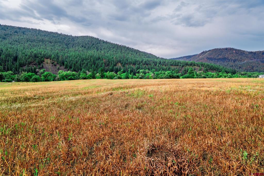 1822B County Road 335 Pagosa Springs CO 81147