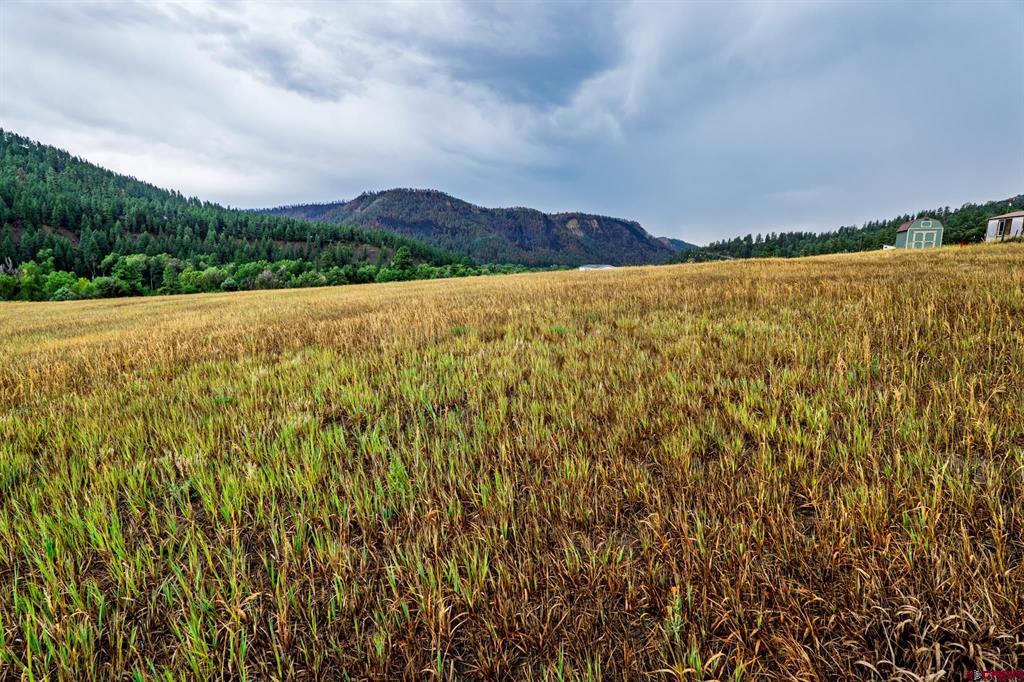 1822B County Road 335 Pagosa Springs CO 81147