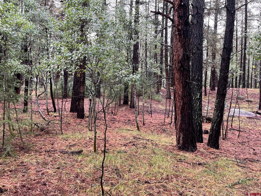 12482 Cr 501 Vallecito Lake/bayfield CO 81122