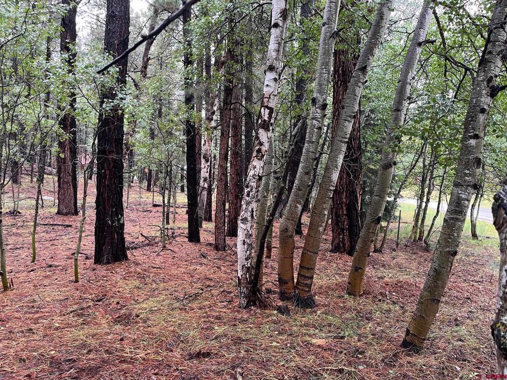12482 Cr 501 Vallecito Lake/bayfield CO 81122