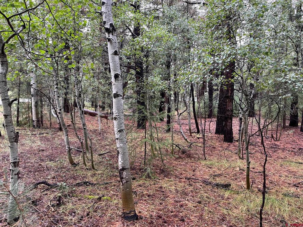 12482 Cr 501 Vallecito Lake/bayfield CO 81122