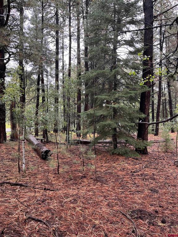 12482 Cr 501 Vallecito Lake/bayfield CO 81122