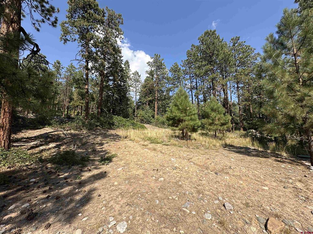 150 Pine Ridge Bayfield CO 81122