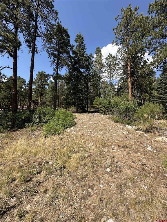 150 Pine Ridge Bayfield CO 81122