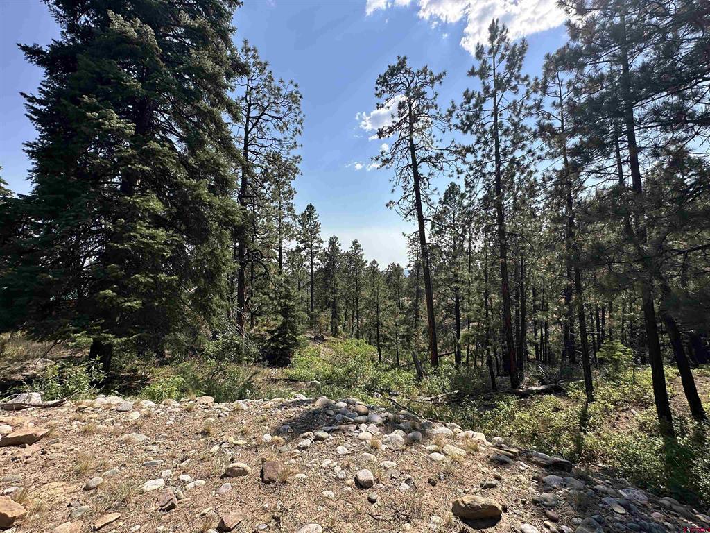 150 Pine Ridge Bayfield CO 81122