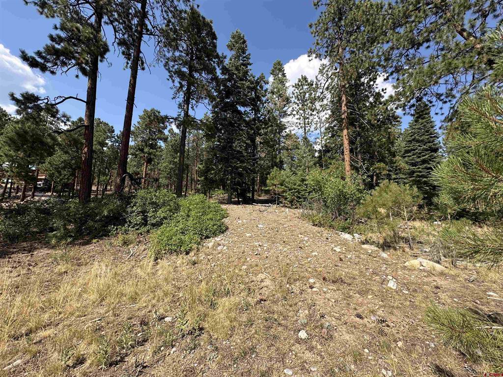 150 Pine Ridge Bayfield CO 81122
