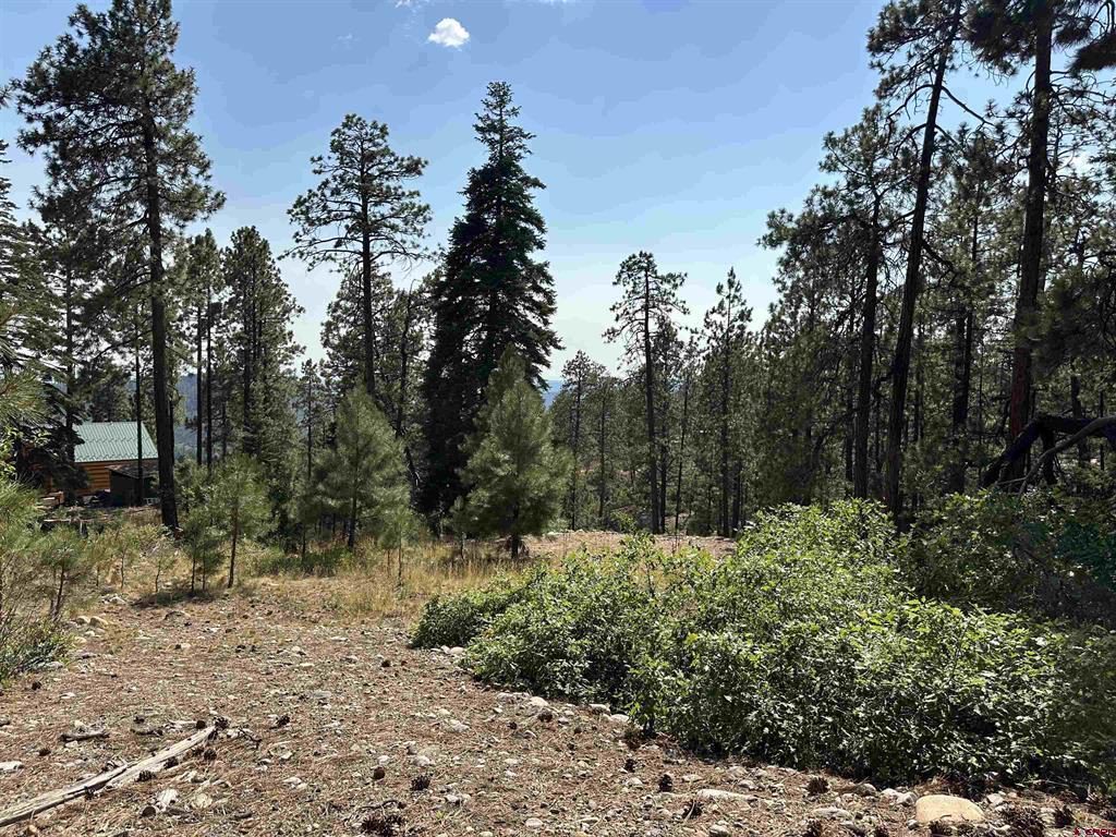 150 Pine Ridge Bayfield CO 81122