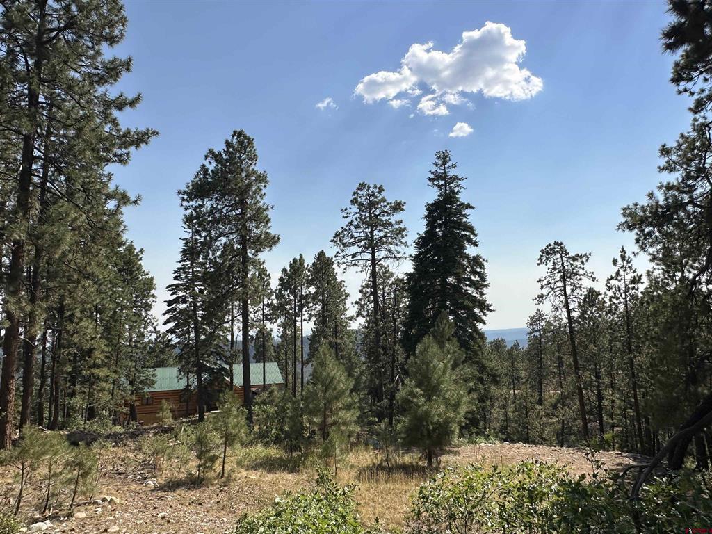 150 Pine Ridge Bayfield CO 81122