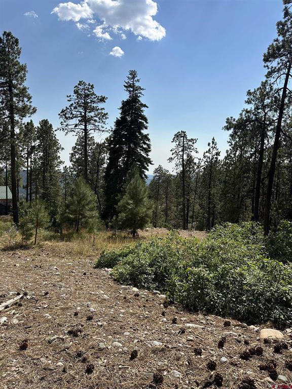 150 Pine Ridge Bayfield CO 81122