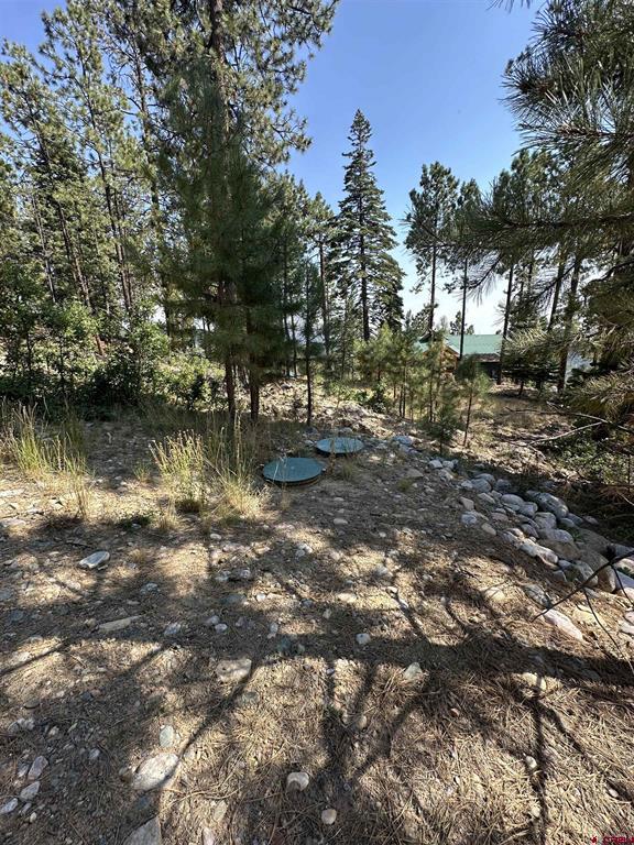150 Pine Ridge Bayfield CO 81122