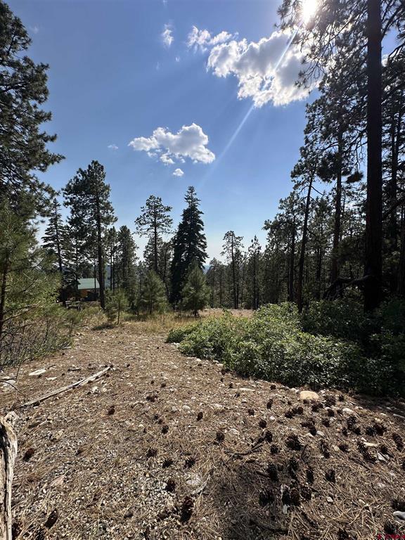 150 Pine Ridge Bayfield CO 81122