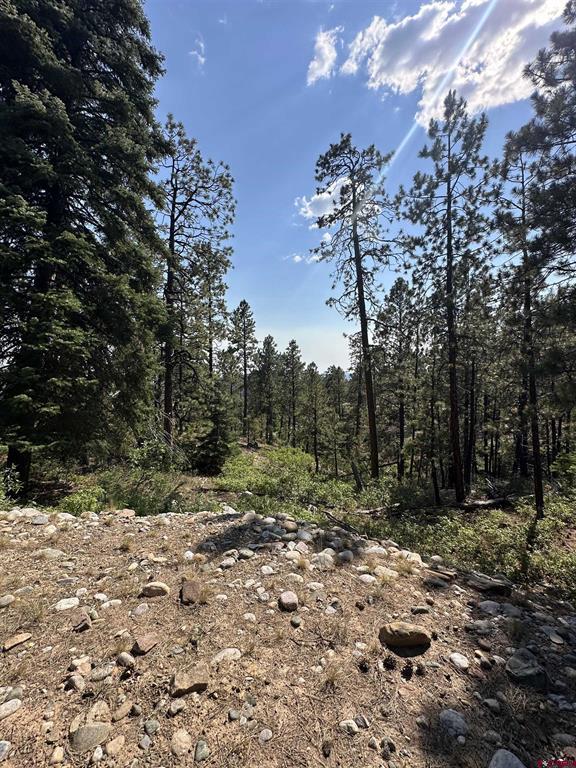 150 Pine Ridge Bayfield CO 81122