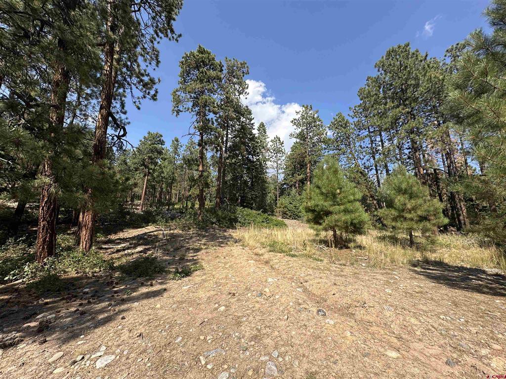 150 Pine Ridge Bayfield CO 81122