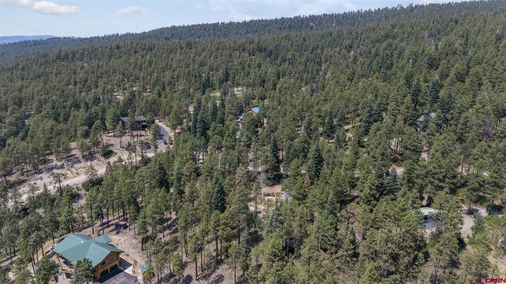 150 Pine Ridge Bayfield CO 81122