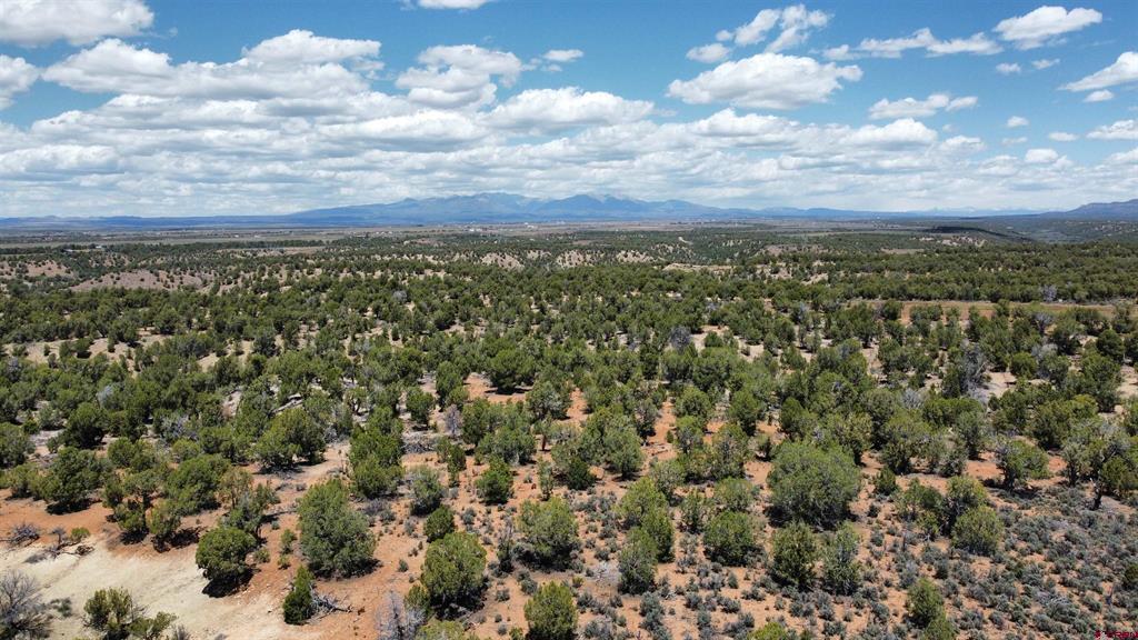 4001 Cr 136 Ignacio CO 81122