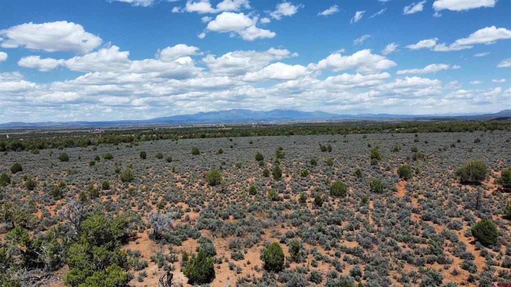 4001 Cr 136 Ignacio CO 81122