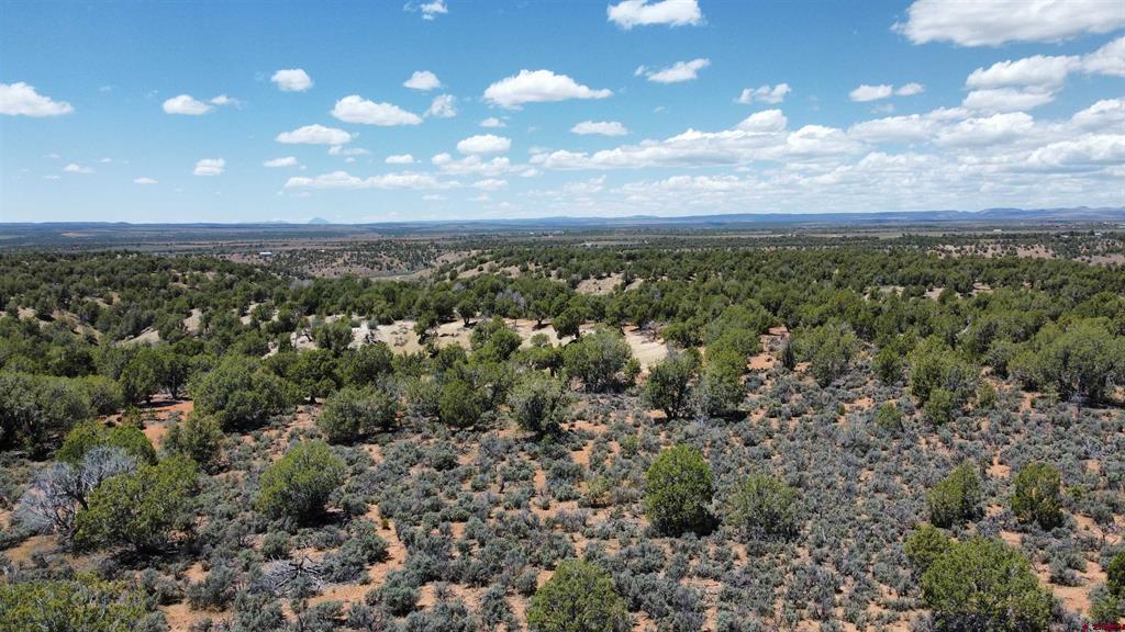 4001 Cr 136 Ignacio CO 81122