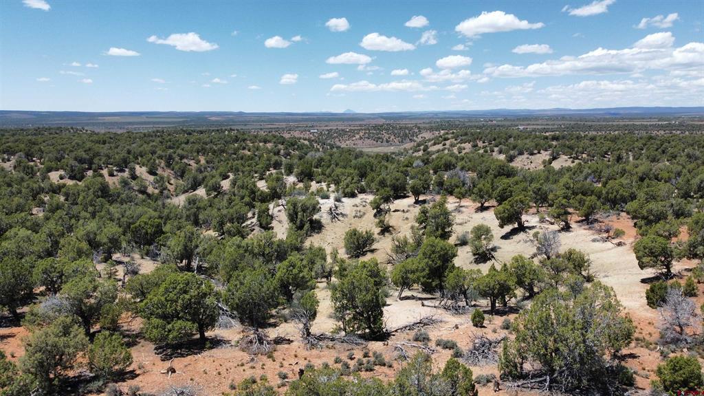4001 Cr 136 Ignacio CO 81122