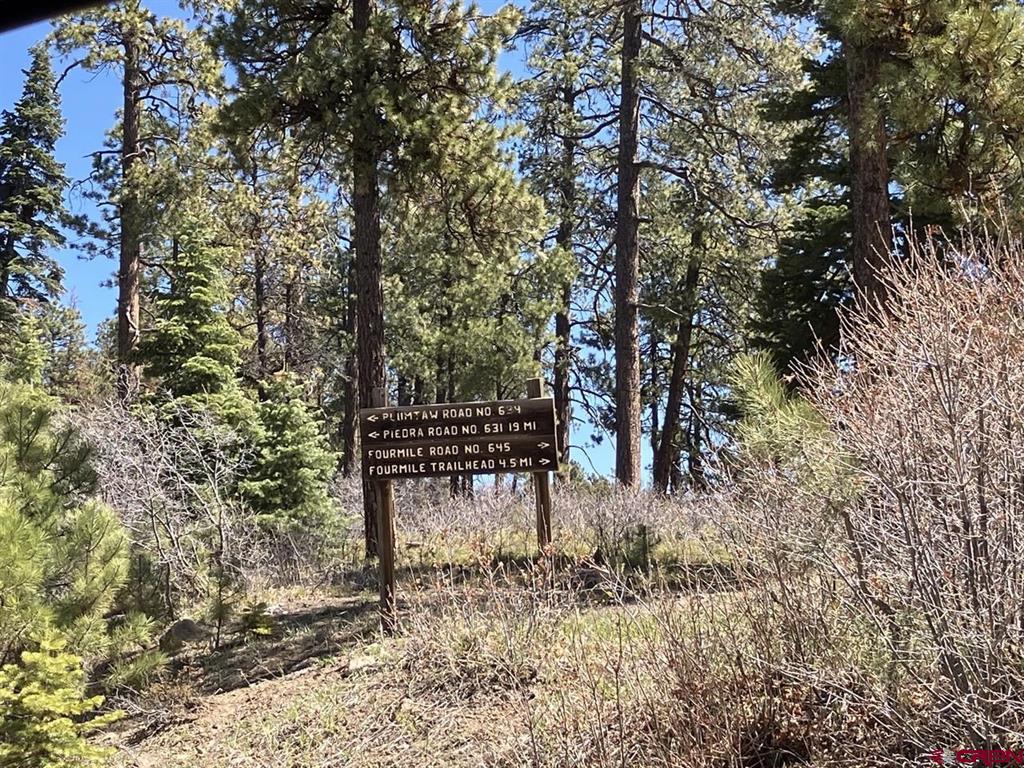 212 Camp Robber Drive Creede CO 81130