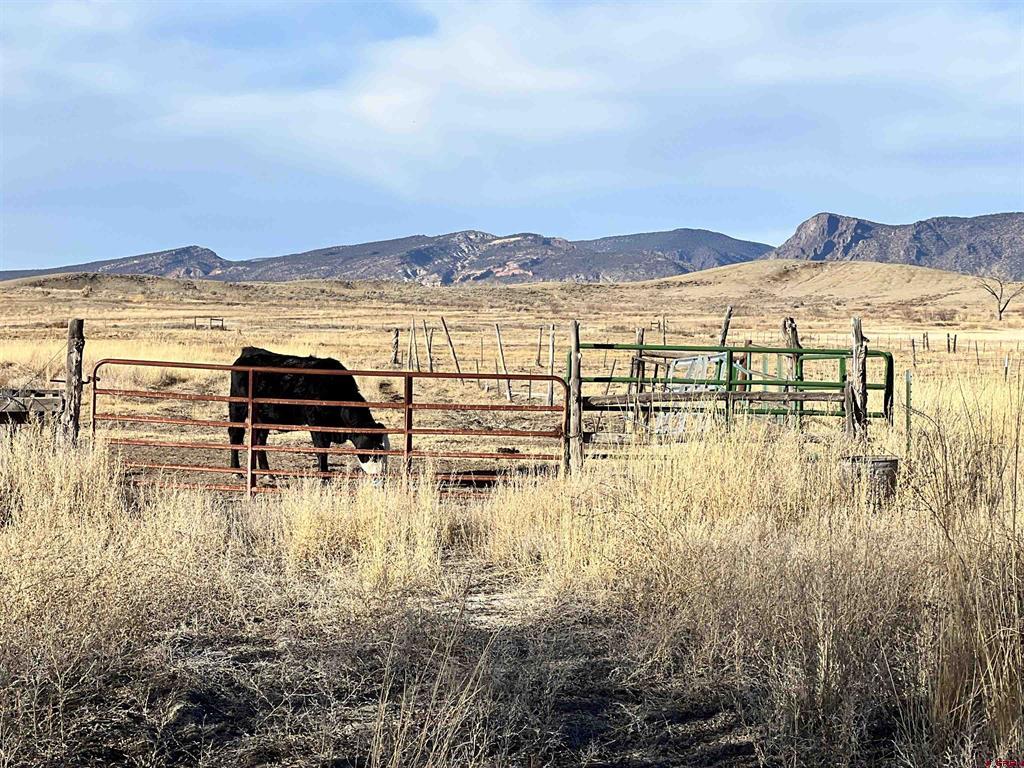 Tract 3 E Oak Grove Road Montrose CO 81401