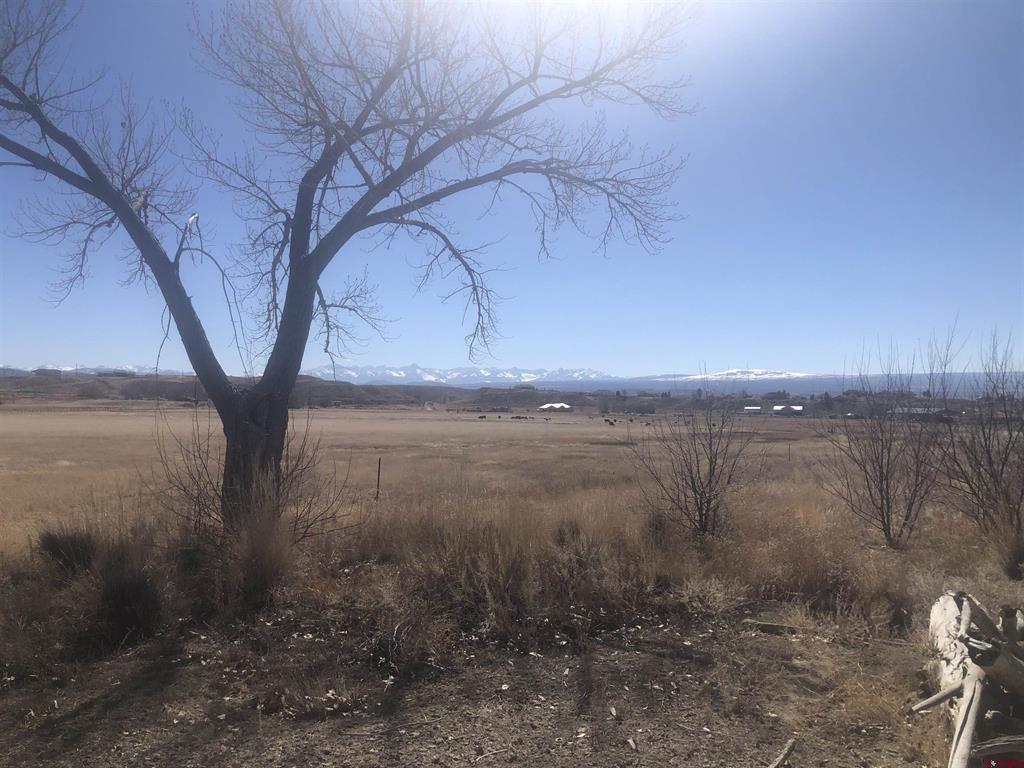 Tract 3 E Oak Grove Road Montrose CO 81401