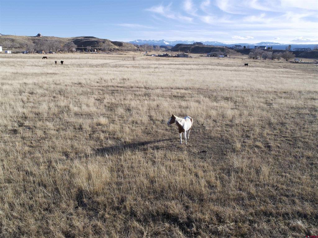 Tract 3 E Oak Grove Road Montrose CO 81401