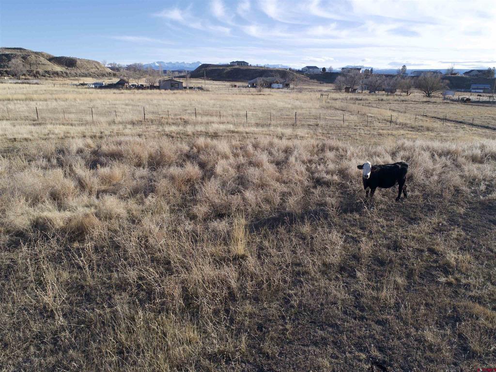 Tract 3 E Oak Grove Road Montrose CO 81401