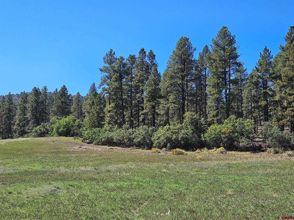 Tbd County Road 502 Bayfield CO 81122