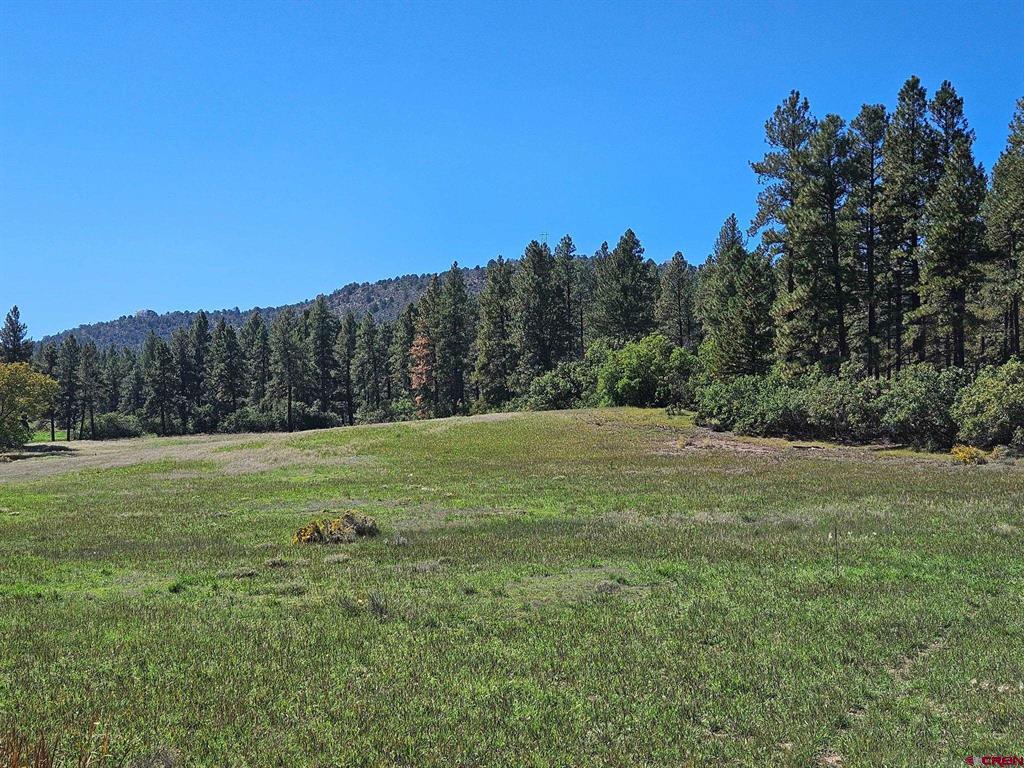 Tbd County Road 502 Bayfield CO 81122
