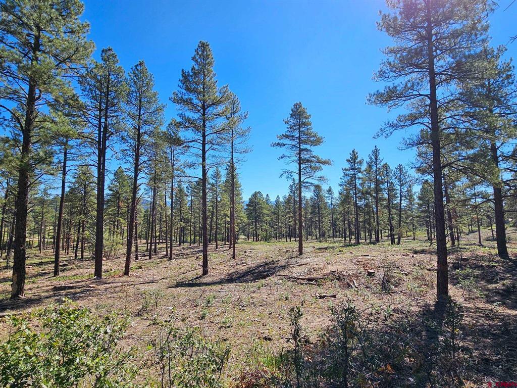 Tbd County Road 502 Bayfield CO 81122
