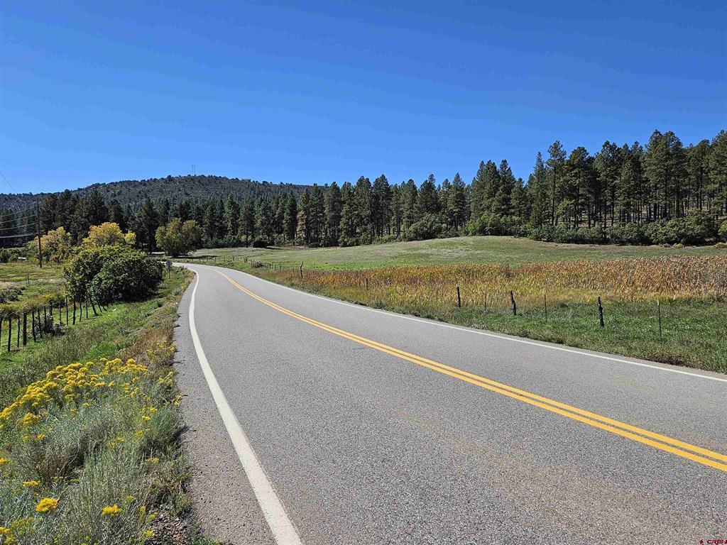 Tbd County Road 502 Bayfield CO 81122
