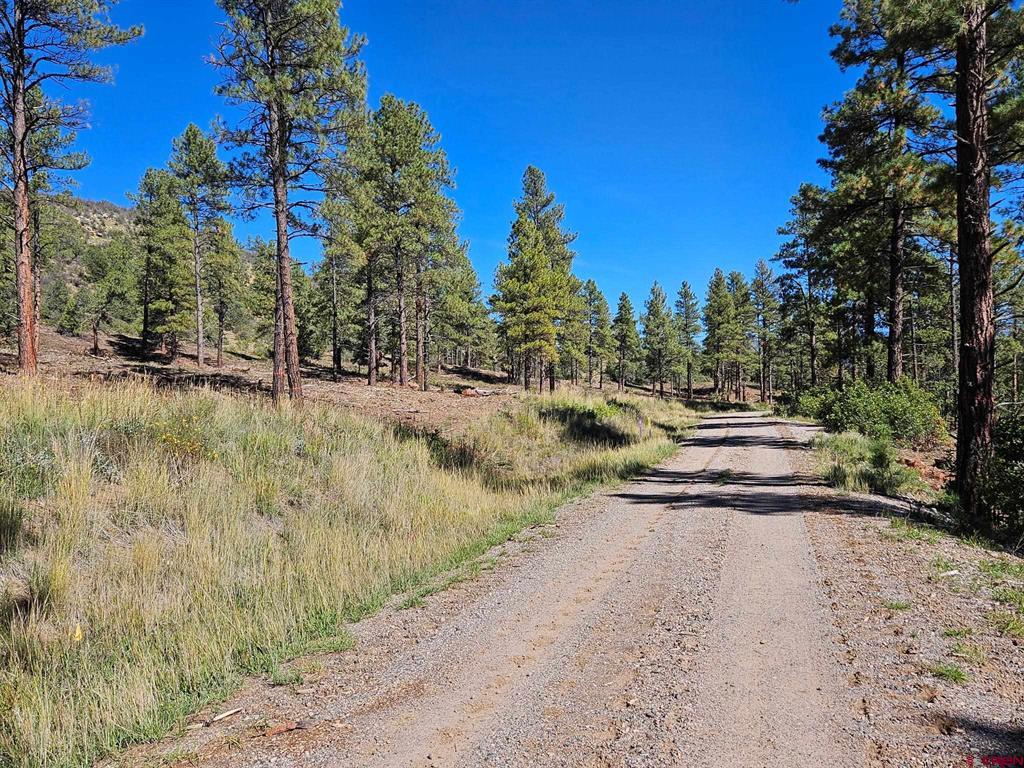 Tbd County Road 502 Bayfield CO 81122