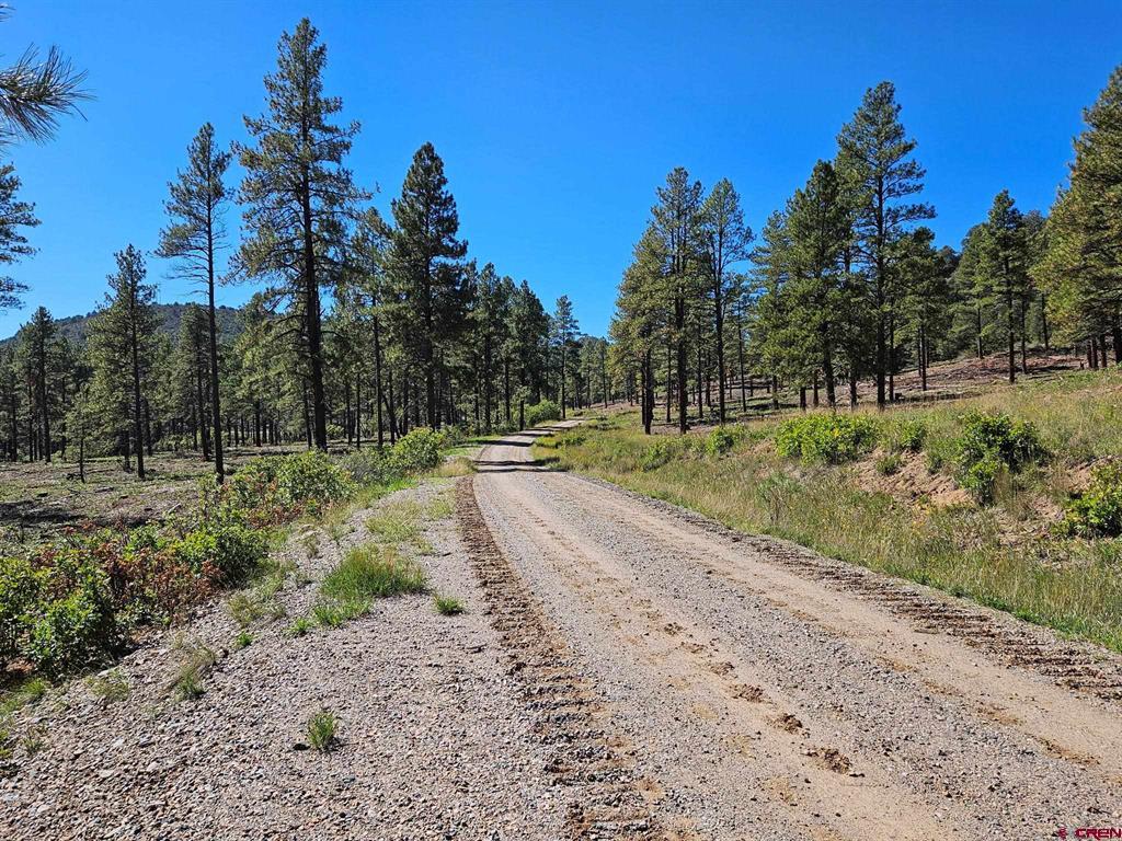 Tbd County Road 502 Bayfield CO 81122