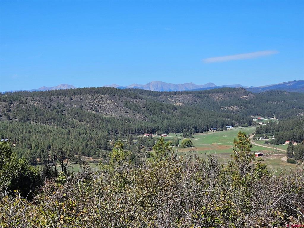 Tbd County Road 502 Bayfield CO 81122